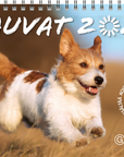 Hauvat 2027