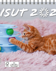 Kisut 2027
